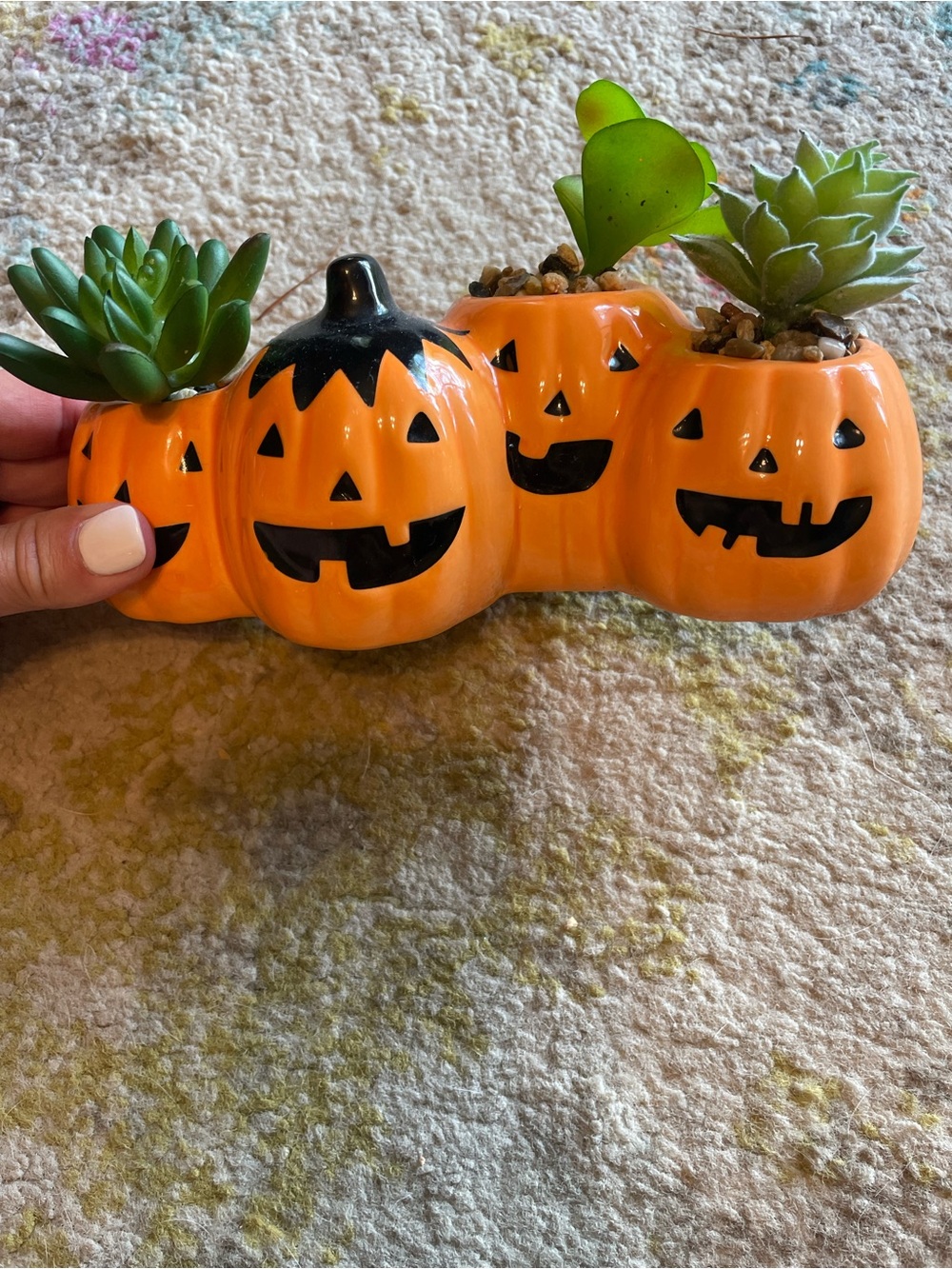 Pumpkin Halloween Faux Succulent & Cactus decor planter ceramic